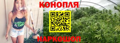 гидра Вышний Волочёк